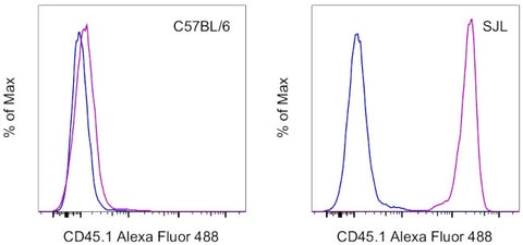CD45.1 Monoclonal Antibody (A20), Alexa Fluor 488, eBioscience