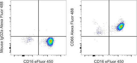 CD66 Monoclonal Antibody (CD66a-B1.1), Alexa Fluor 488, eBioscience
