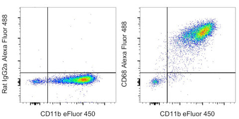 CD68 Monoclonal Antibody (FA-11), Alexa Fluor 488, eBioscience