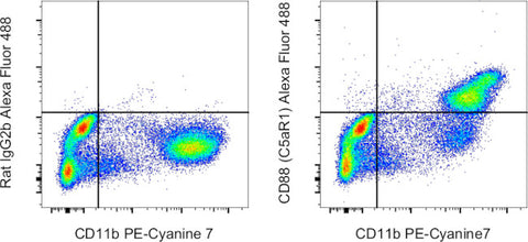 CD88 (C5aR1) Monoclonal Antibody (20/70), Alexa Fluor 488, eBioscience