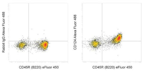 CD124 Recombinant Rabbit Monoclonal Antibody (Astra-1), Alexa Fluor 488, eBioscience