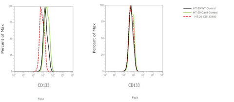 CD133 (Prominin-1) Monoclonal Antibody (13A4), Alexa Fluor 488, eBioscience