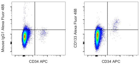 CD133 (Prominin-1) Monoclonal Antibody (TMP4), Alexa Fluor 488, eBioscience