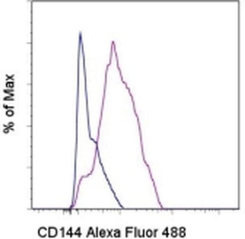 CD144 (VE-cadherin) Monoclonal Antibody (eBioBV13 (BV13)), Alexa Fluor 488, eBioscience