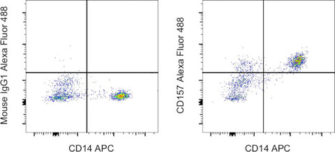 CD157 Monoclonal Antibody (eBioSY11B5 (SY11B5)), Alexa Fluor 488, eBioscience