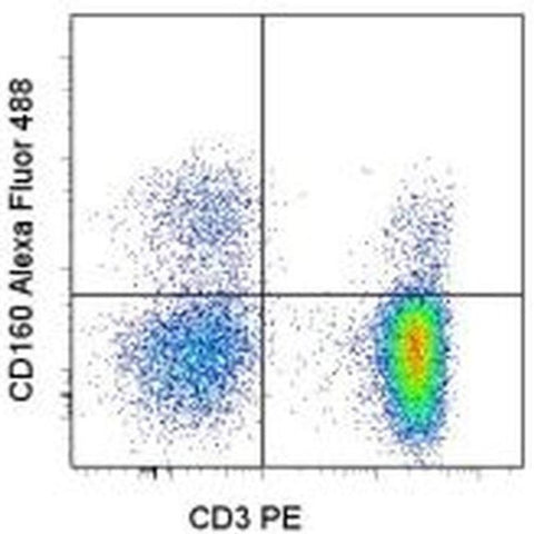 CD160 Monoclonal Antibody (BY55), Alexa Fluor 488, eBioscience