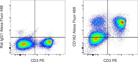 CD162 (PSGL-1) Monoclonal Antibody (4RA10), Alexa Fluor 488, eBioscience