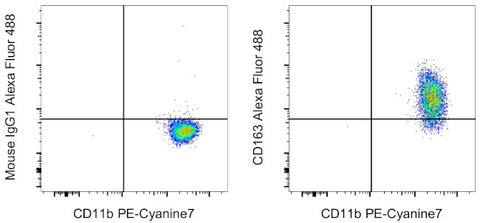 CD163 Monoclonal Antibody (MAC 2-158), Alexa Fluor 488, eBioscience