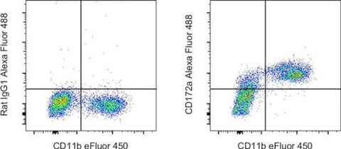 CD172a (SIRP alpha) Monoclonal Antibody (P84), Alexa Fluor 488, eBioscience