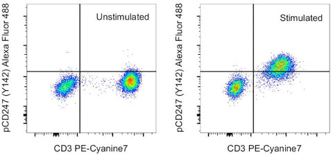 Phospho-CD247 (CD3 zeta) (Tyr142) Monoclonal Antibody (3ZBR4S), Alexa Fluor 488, eBioscience