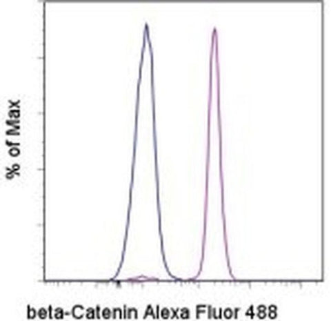 beta Catenin Monoclonal Antibody (15B8), Alexa Fluor 488, eBioscience