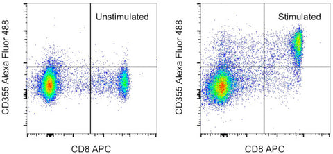 CD355 (CRTAM) Monoclonal Antibody (Cr24.1), Alexa Fluor 488, eBioscience