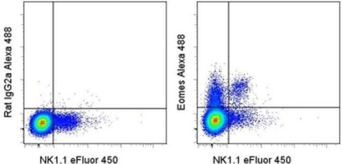 EOMES Monoclonal Antibody (Dan11mag), Alexa Fluor 488, eBioscience