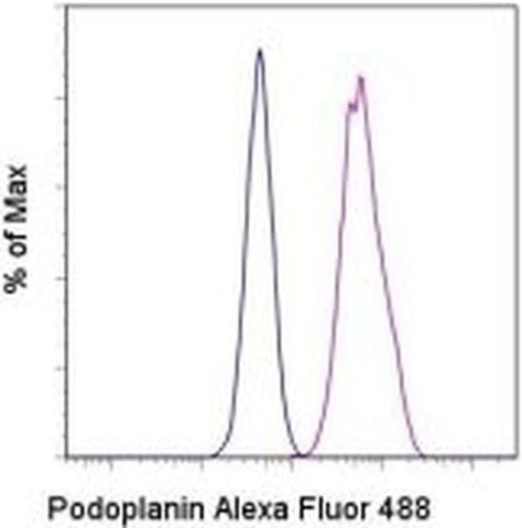 Podoplanin Monoclonal Antibody (eBio8.1.1 (8.1.1)), Alexa Fluor 488, eBioscience