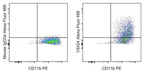 VSIG4 Monoclonal Antibody (JAV4), Alexa Fluor 488, eBioscience