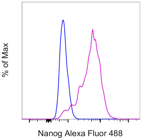 Nanog Monoclonal Antibody (eBioMLC-51), Alexa Fluor 488, eBioscience