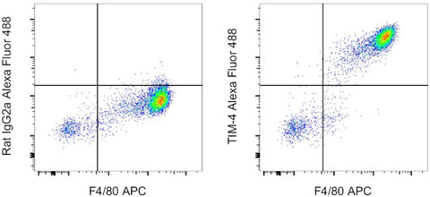 TIM-4 Monoclonal Antibody (54 (RMT4-54)), Alexa Fluor 488, eBioscience