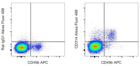 CD314 (NKG2D) Monoclonal Antibody (CX5), Alexa Fluor 488, eBioscience