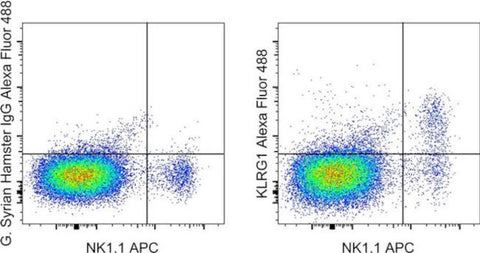 KLRG1 Monoclonal Antibody (2F1), Alexa Fluor 488, eBioscience