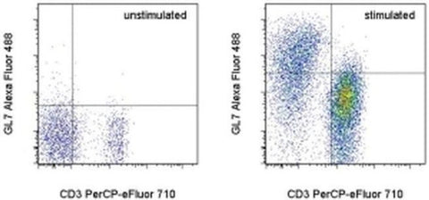 GL7 Monoclonal Antibody (GL-7 (GL7)), Alexa Fluor 488, eBioscience