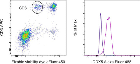 DDX5 Monoclonal Antibody (Ab204), Alexa Fluor 488, eBioscience