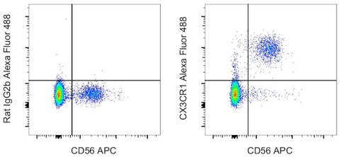 CX3CR1 Monoclonal Antibody (2A9-1), Alexa Fluor 488, eBioscience