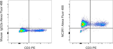 Glucocorticoid receptor (NR3C1) Monoclonal Antibody (BuGR2), Alexa Fluor 488, eBioscience