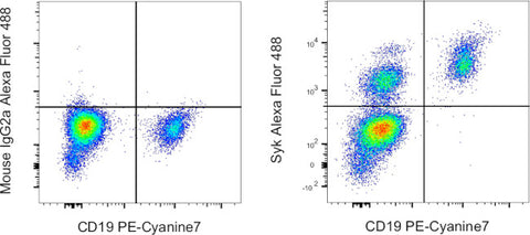 Syk Monoclonal Antibody (4D10.1), Alexa Fluor 488, eBioscience