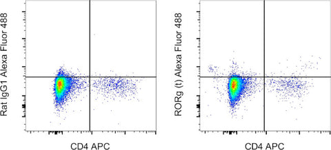 ROR gamma (t) Monoclonal Antibody (B2D), Alexa Fluor 488, eBioscience