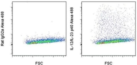 IL-12/IL-23 p40 Monoclonal Antibody (C17.8), Alexa Fluor 488, eBioscience