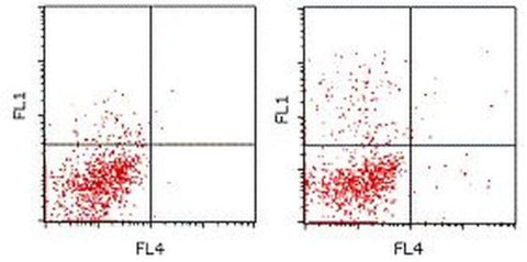 IL-17A Monoclonal Antibody (eBioTC11-18H10.1), Alexa Fluor 488, eBioscience
