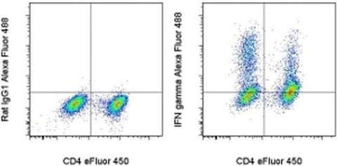 IFN gamma Monoclonal Antibody (XMG1.2), Alexa Fluor 488, eBioscience