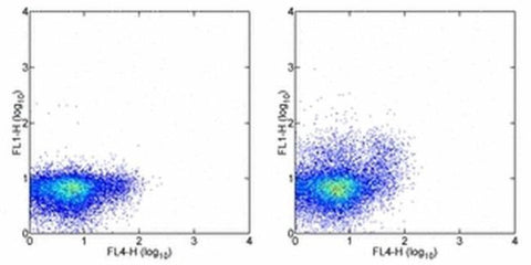 TNF alpha Monoclonal Antibody (MAb11), Alexa Fluor 488, eBioscience