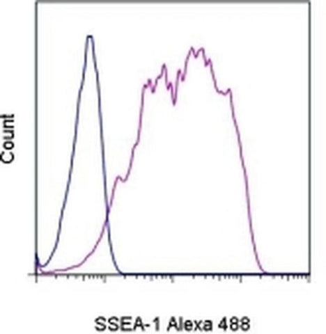 SSEA1 Monoclonal Antibody (eBioMC-480 (MC-480)), Alexa Fluor 488, eBioscience