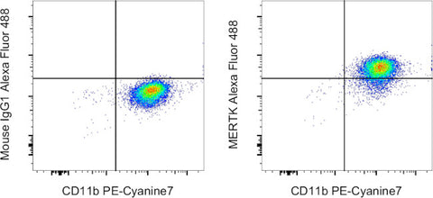 MERTK Monoclonal Antibody (HMER5DS), Alexa Fluor 488, eBioscience
