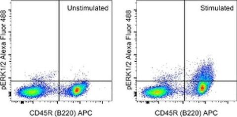 Phospho-ERK1/2 (Thr202, Tyr204) Monoclonal Antibody (MILAN8R), Alexa Fluor 488, eBioscience