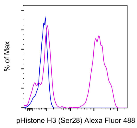 Phospho-Histone H3 (Ser28) Monoclonal Antibody (HTA28), Alexa Fluor 488, eBioscience