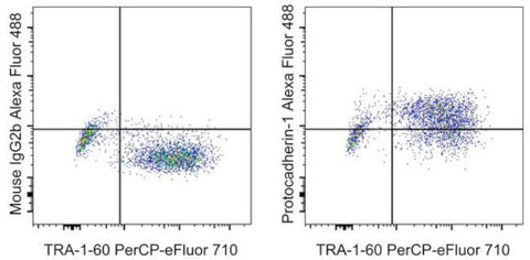 PCDH1 (Protocadherin 1) Monoclonal Antibody (CSTEM31), Alexa Fluor 488, eBioscience
