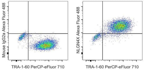 NLGN4X (Neuroligin-4) Monoclonal Antibody (CSTEM30), Alexa Fluor 488, eBioscience