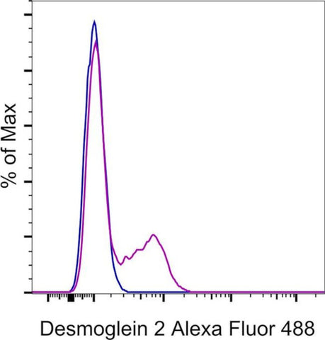 Desmoglein 2 Monoclonal Antibody (CSTEM28), Alexa Fluor 488, eBioscience