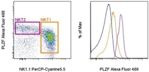 PLZF Monoclonal Antibody (Mags.21F7), Alexa Fluor 488, eBioscience