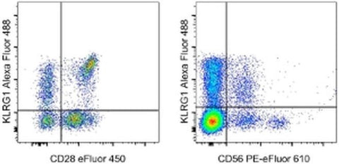 KLRG1 Monoclonal Antibody (13F12F2), Alexa Fluor 488, eBioscience