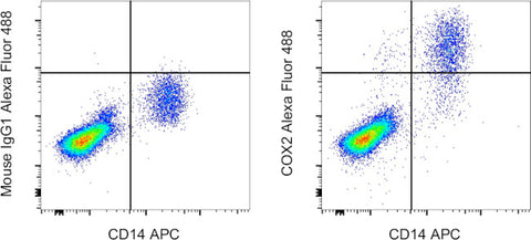 COX2 Monoclonal Antibody (COX 229), Alexa Fluor 488, eBioscience