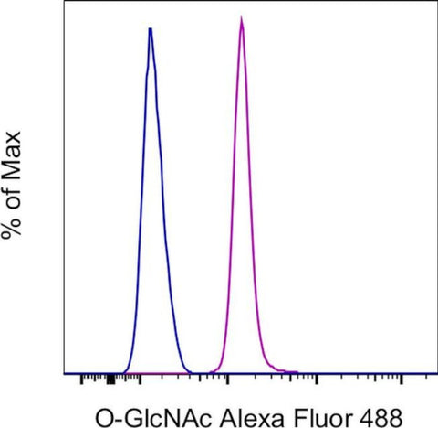 O-GlcNAc Monoclonal Antibody (RL2), Alexa Fluor 488, eBioscience