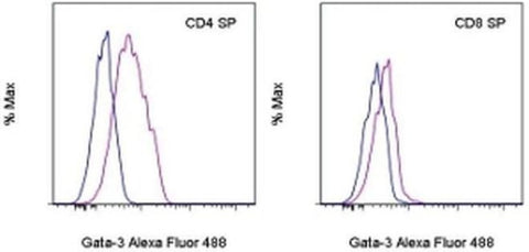 Gata-3 Monoclonal Antibody (TWAJ), Alexa Fluor 488, eBioscience