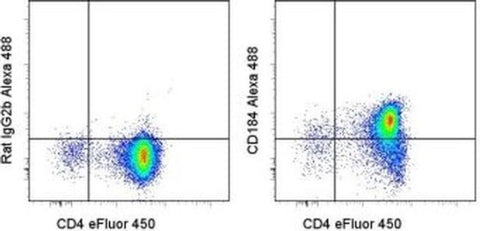 CD184 (CXCR4) Monoclonal Antibody (2B11), Alexa Fluor 488, eBioscience
