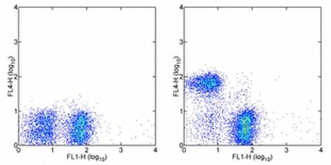 CD3e Monoclonal Antibody (eBio500A2 (500A2)), Alexa Fluor 700, eBioscience
