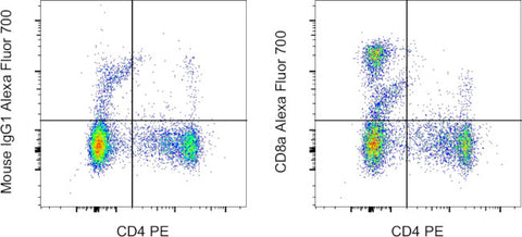 CD8a Monoclonal Antibody (OX8), Alexa Fluor 700, eBioscience