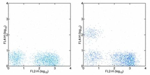 CD19 Monoclonal Antibody (HIB19), Alexa Fluor 700, eBioscience