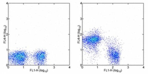 CD38 Monoclonal Antibody (90), Alexa Fluor 700, eBioscience